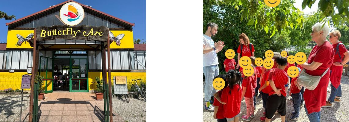 casa farfalle 1